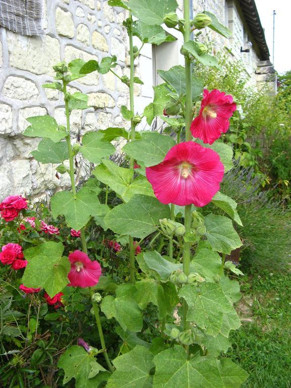 La Balastière Beaumont-en-Véron Esterno foto